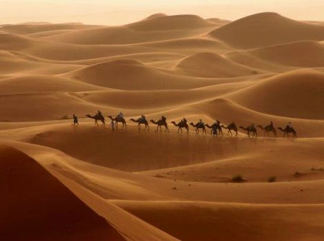 sahara1