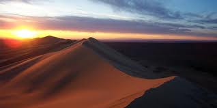 gobi